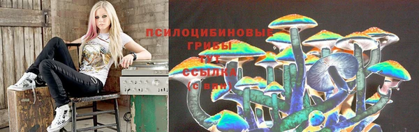 mdpv Беломорск