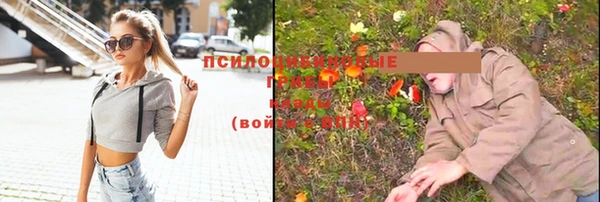 mdpv Беломорск