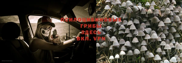 mdpv Беломорск