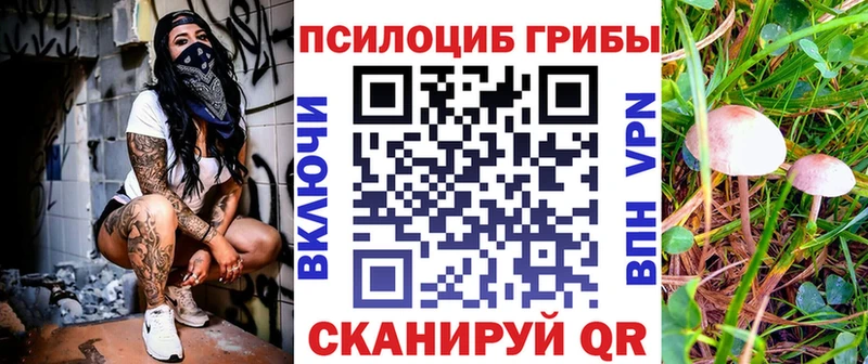 Галлюциногенные грибы прущие грибы  где купить   Обь 