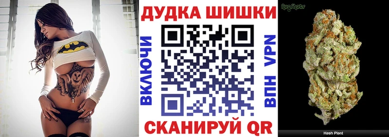 Конопля сатива  Обь 